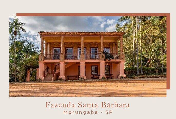 Fazenda, 131 hectares - Foto 42