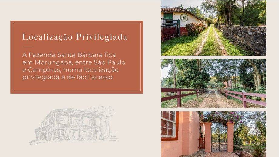 Fazenda, 131 hectares - Foto 43