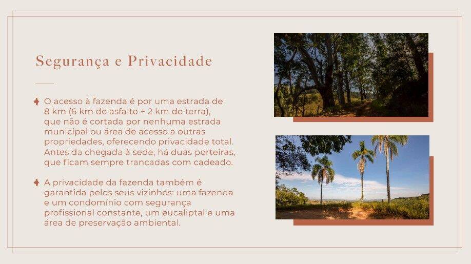 Fazenda, 131 hectares - Foto 45