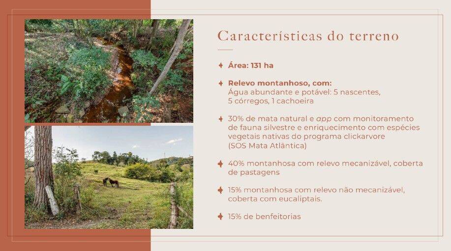 Fazenda, 131 hectares - Foto 46