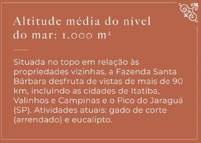 Fazenda, 131 hectares - Foto 47