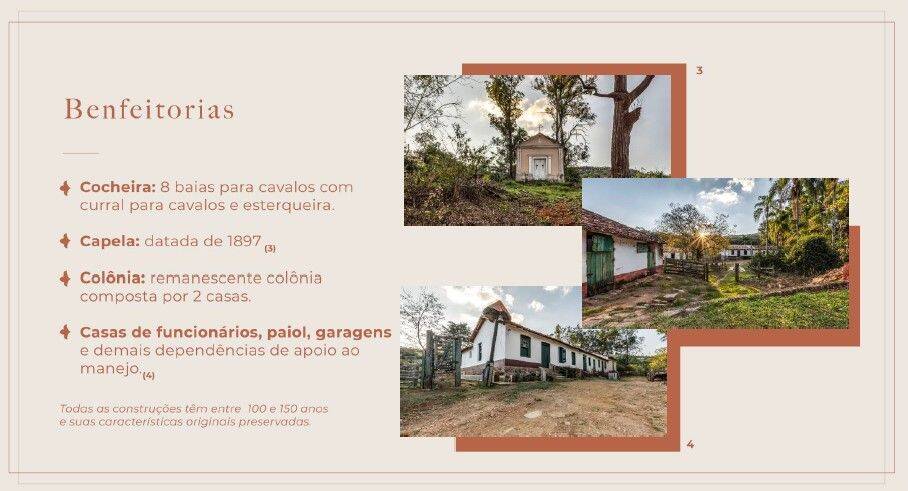 Fazenda, 131 hectares - Foto 50