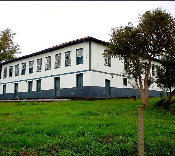 Fazenda, 133 hectares - Foto 7