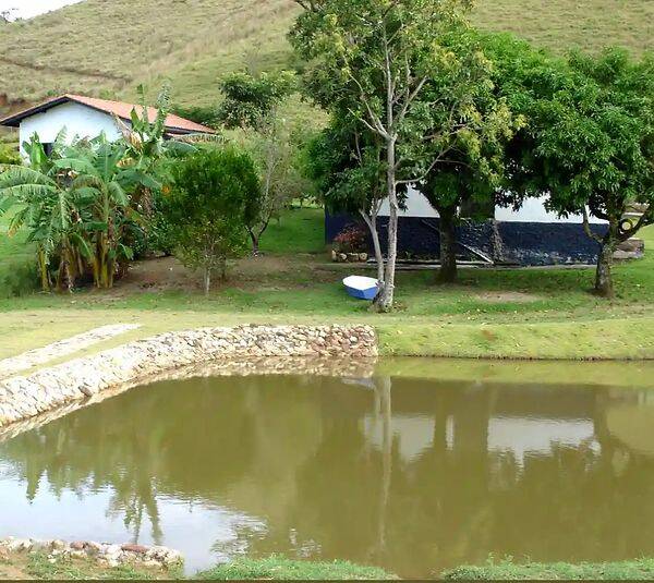 Fazenda, 133 hectares - Foto 43