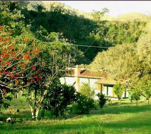 Fazenda, 133 hectares - Foto 46