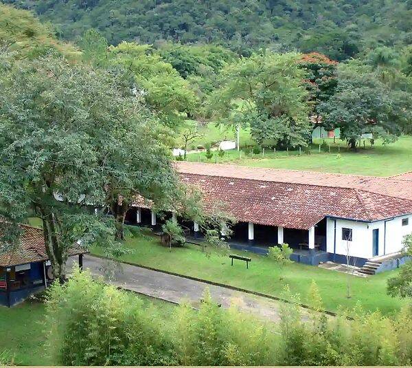Fazenda, 133 hectares - Foto 51