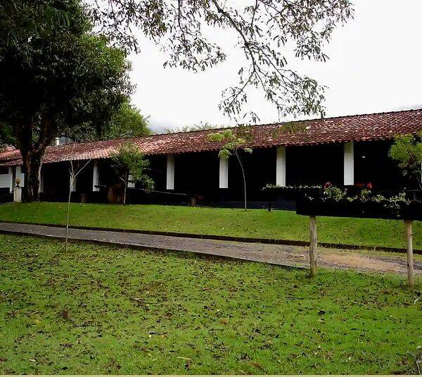 Fazenda, 133 hectares - Foto 54