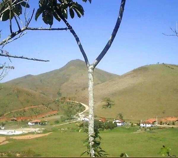 Fazenda, 133 hectares - Foto 56