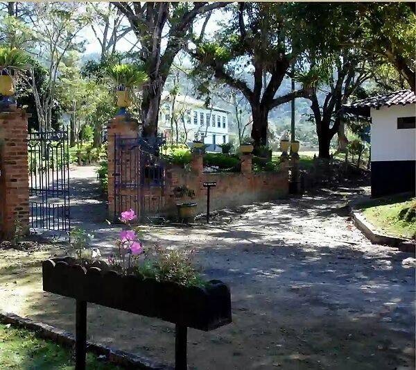 Fazenda, 133 hectares - Foto 62