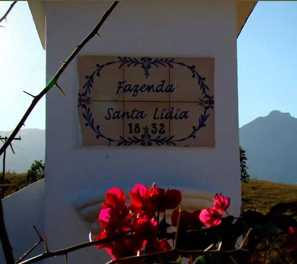 Fazenda, 133 hectares - Foto 63