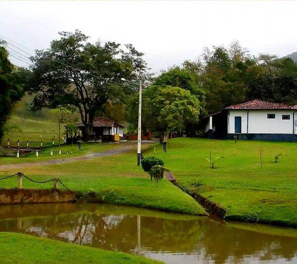 Fazenda, 133 hectares - Foto 70