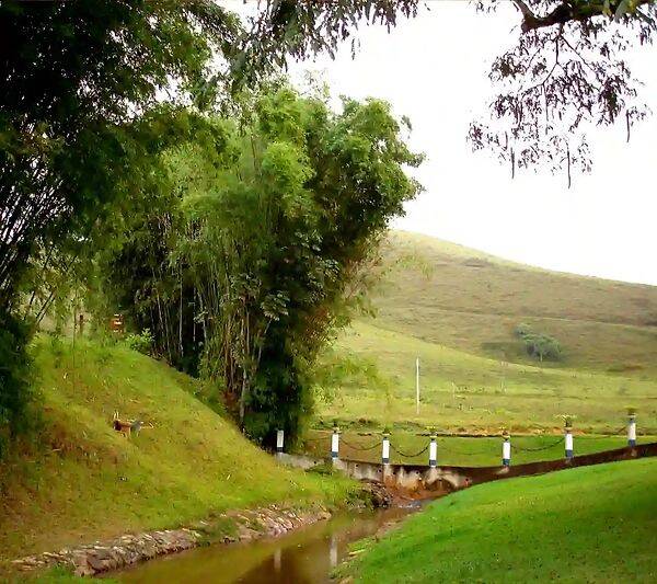 Fazenda, 133 hectares - Foto 72
