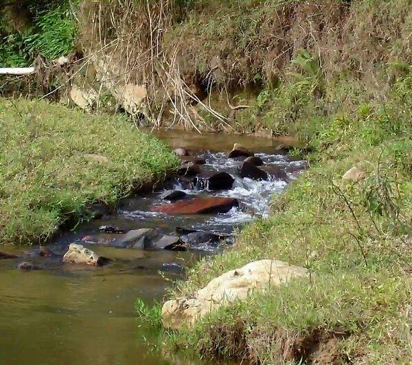 Fazenda, 133 hectares - Foto 73
