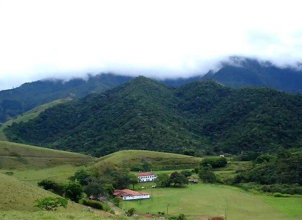 Fazenda, 133 hectares - Foto 77