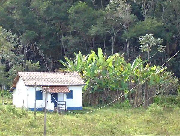Fazenda, 133 hectares - Foto 78