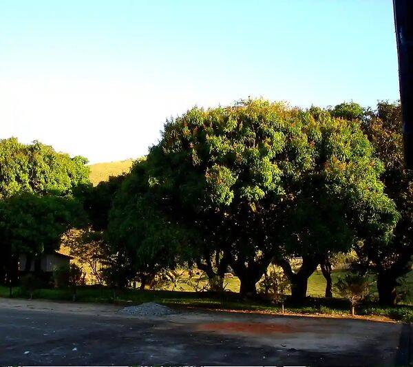 Fazenda, 133 hectares - Foto 82
