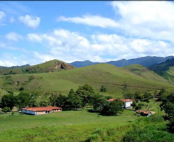 Fazenda, 133 hectares - Foto 87