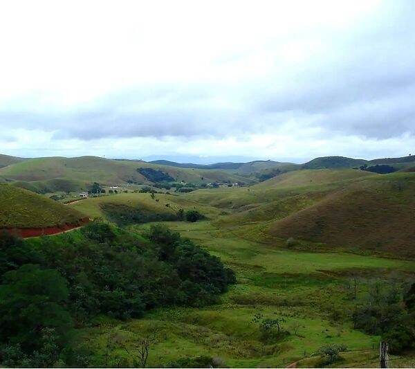Fazenda, 133 hectares - Foto 88