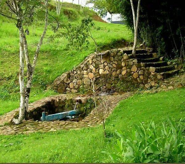 Fazenda, 133 hectares - Foto 94