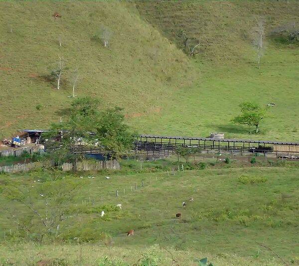 Fazenda, 133 hectares - Foto 99