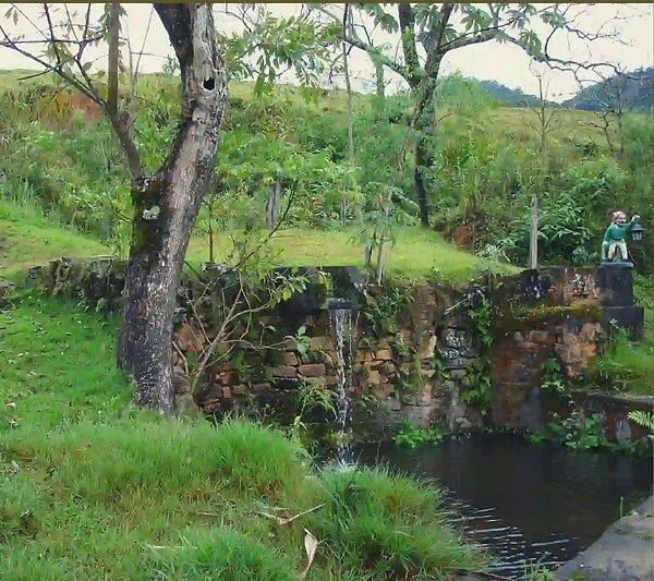 Fazenda, 133 hectares - Foto 107