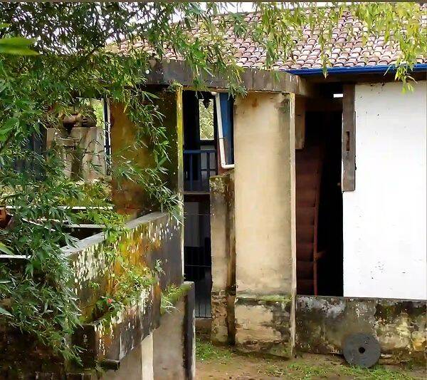 Fazenda, 133 hectares - Foto 109