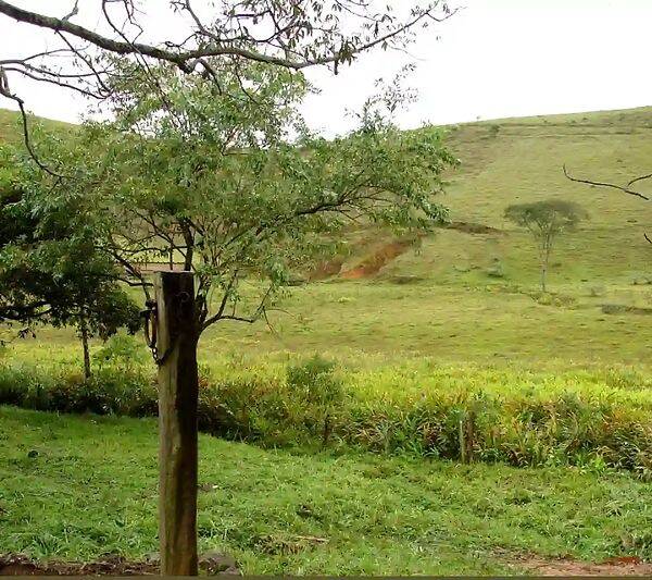 Fazenda, 133 hectares - Foto 110