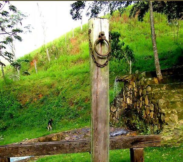 Fazenda, 133 hectares - Foto 111