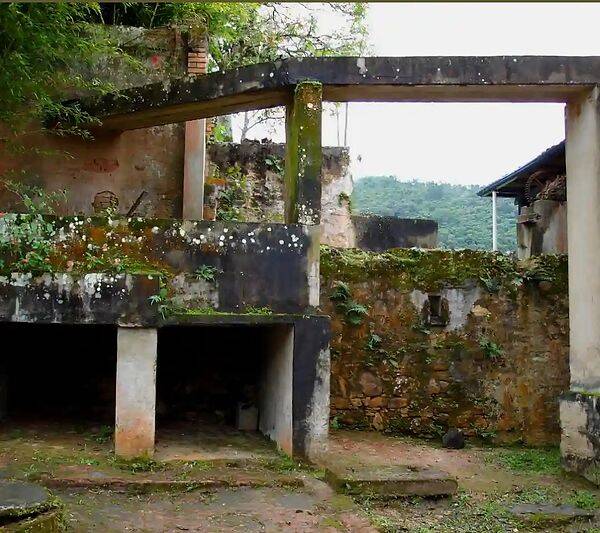 Fazenda, 133 hectares - Foto 113