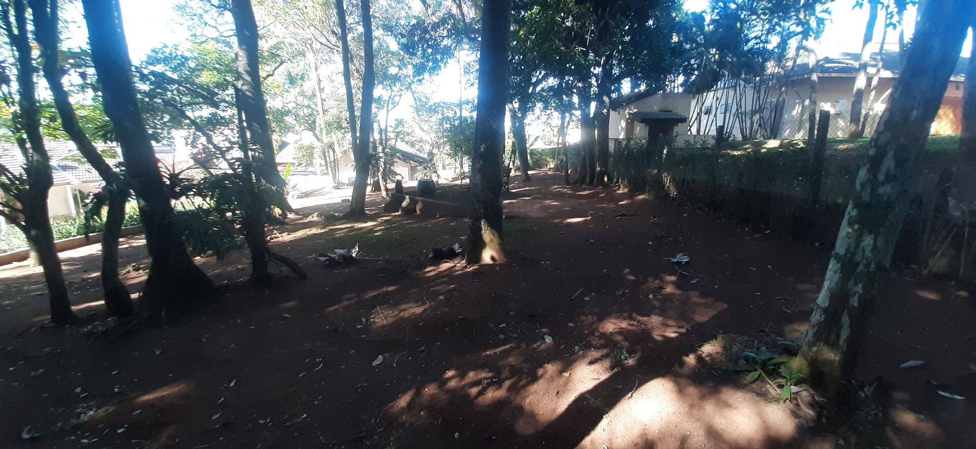 Casa, 4 quartos, 450 m² - Foto 86