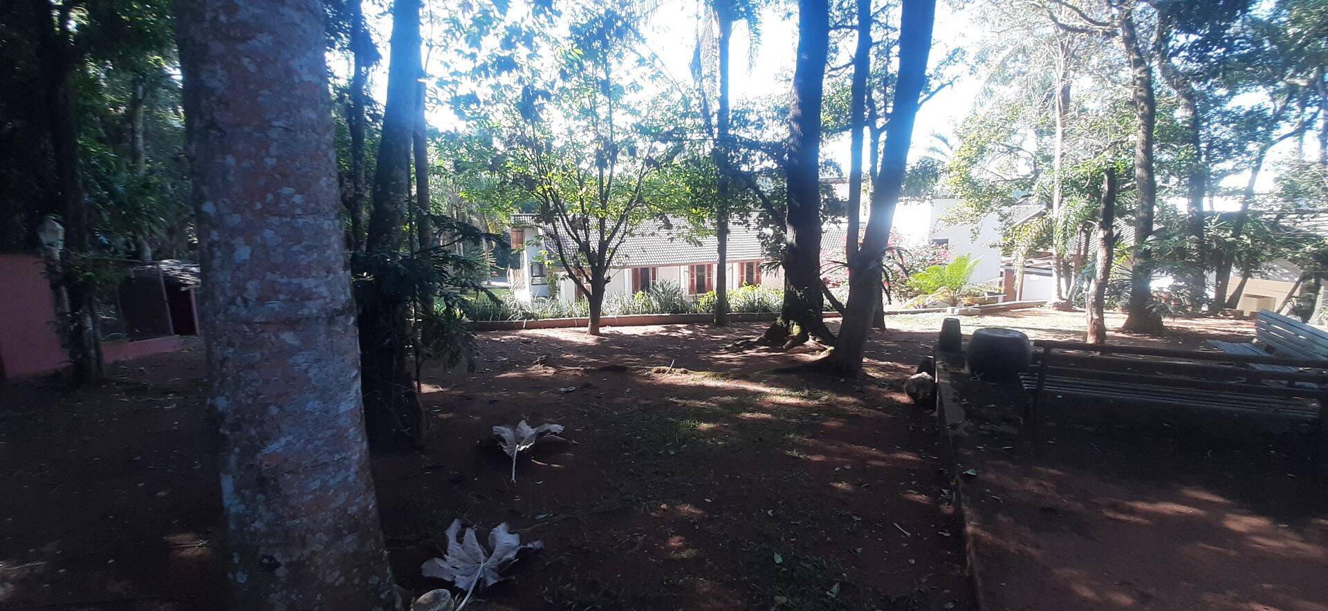 Casa, 4 quartos, 450 m² - Foto 88