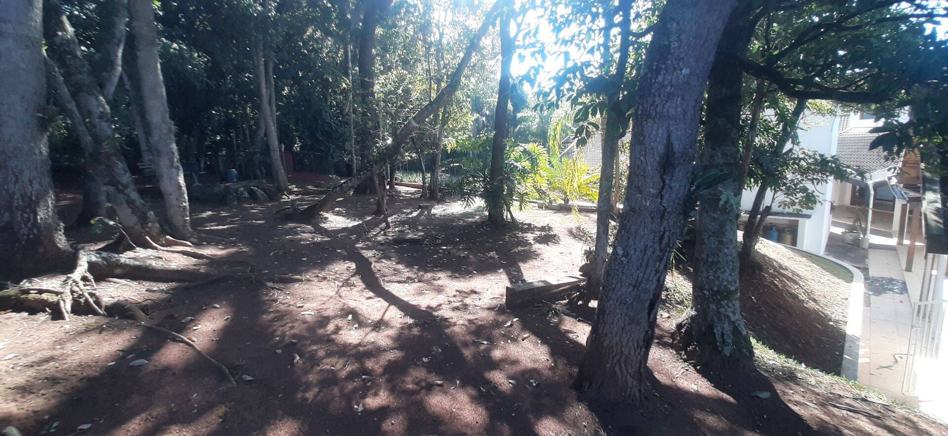 Casa, 4 quartos, 450 m² - Foto 91
