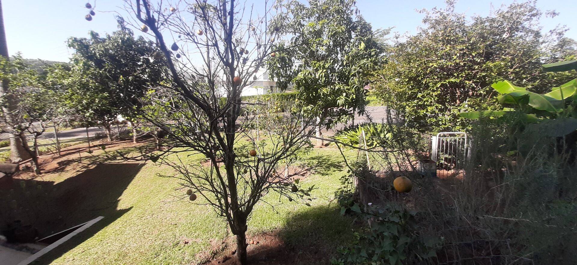Casa, 4 quartos, 450 m² - Foto 93