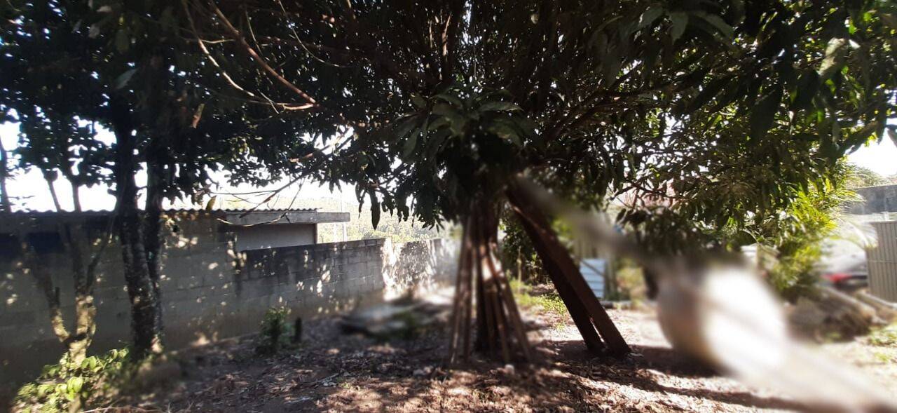 Chácara, 1 quarto, 600 m² - Foto 14