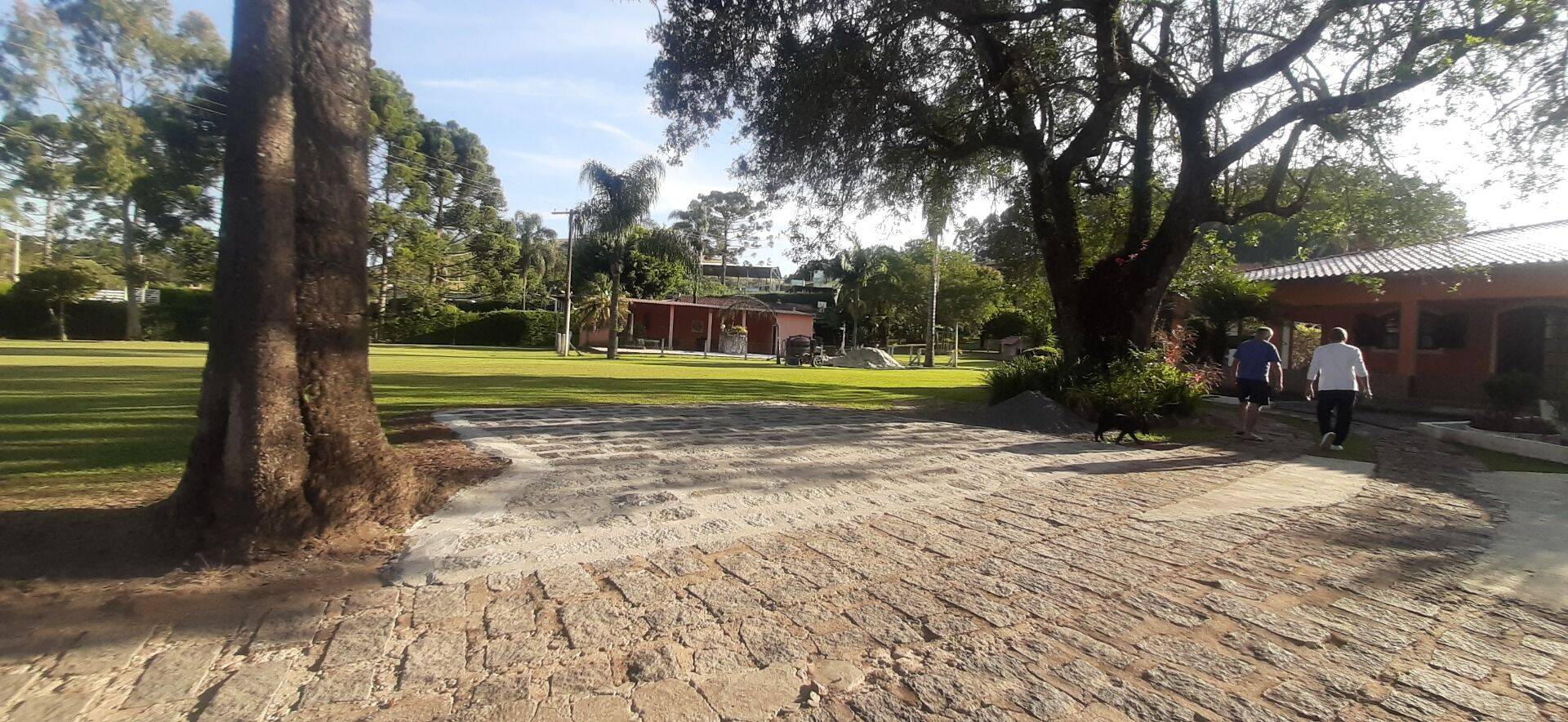 Chácara, 6 quartos, 8000 m² - Foto 7