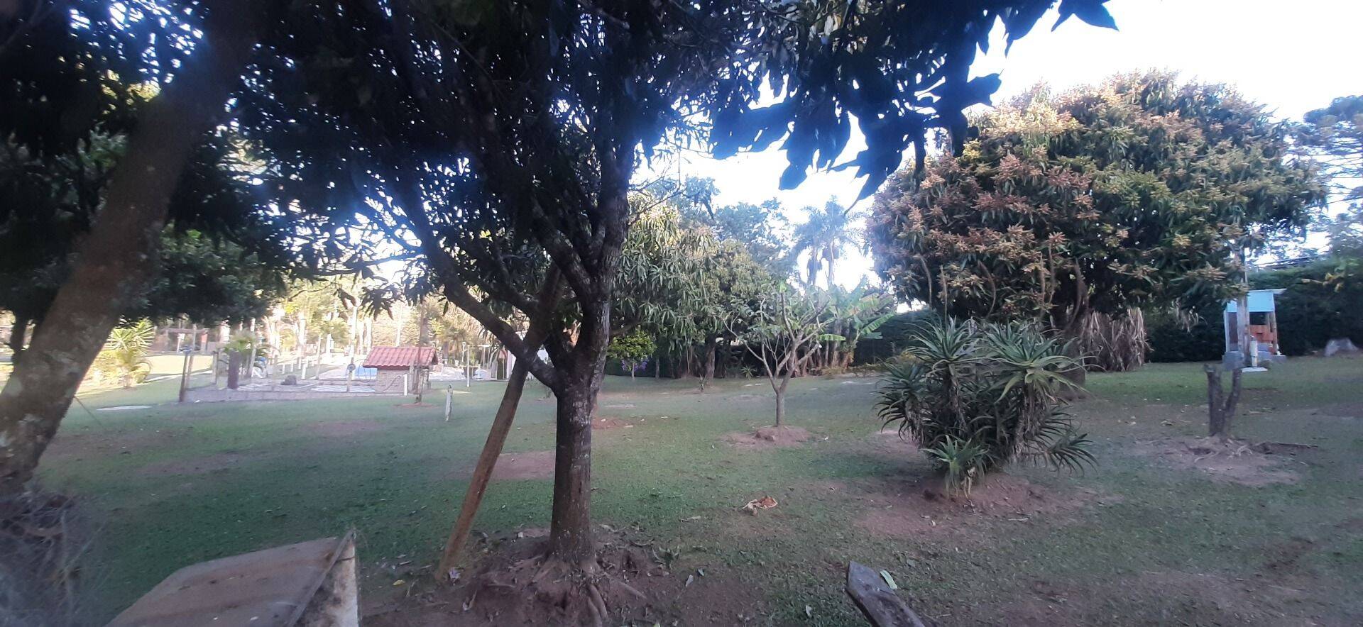 Chácara, 6 quartos, 8000 m² - Foto 75