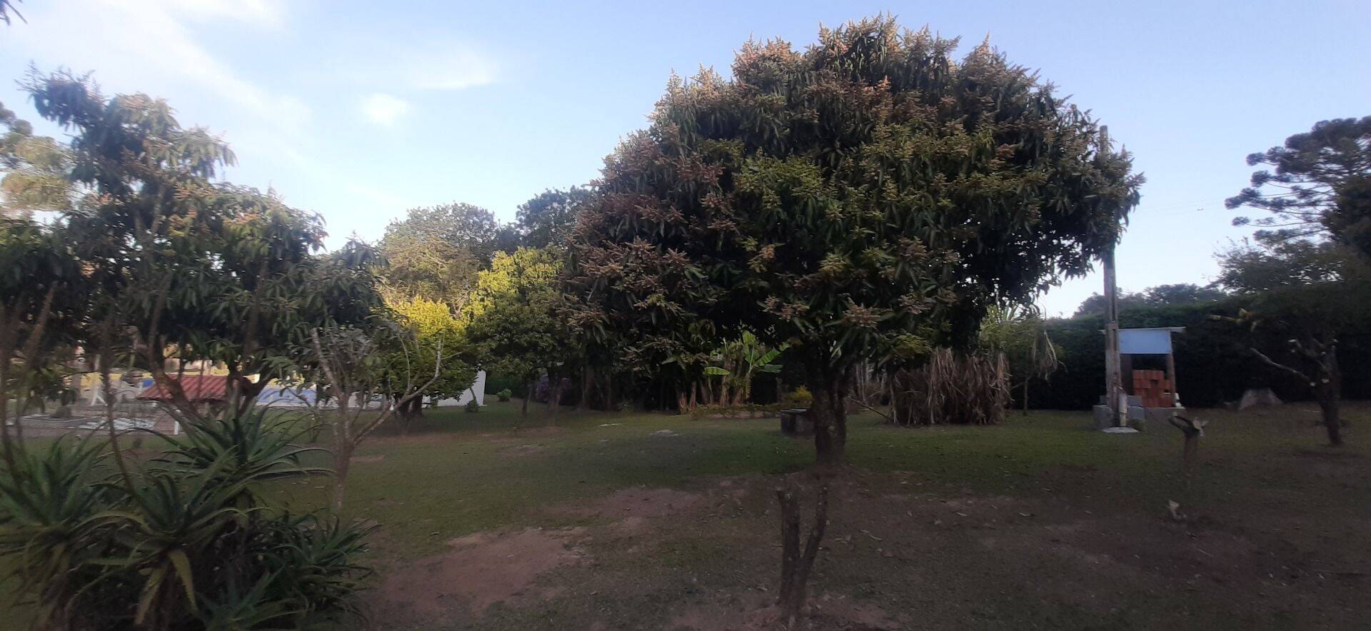 Chácara, 6 quartos, 8000 m² - Foto 76