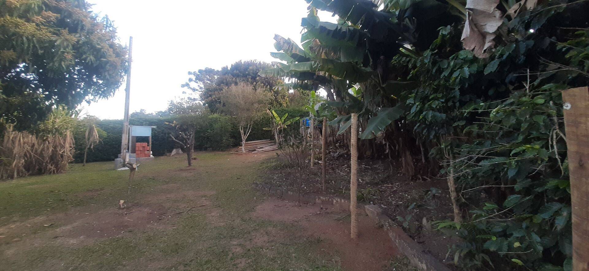 Chácara, 6 quartos, 8000 m² - Foto 77
