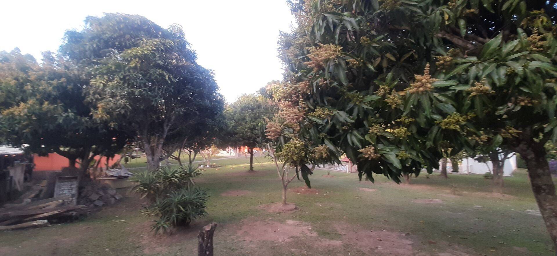 Chácara, 6 quartos, 8000 m² - Foto 79