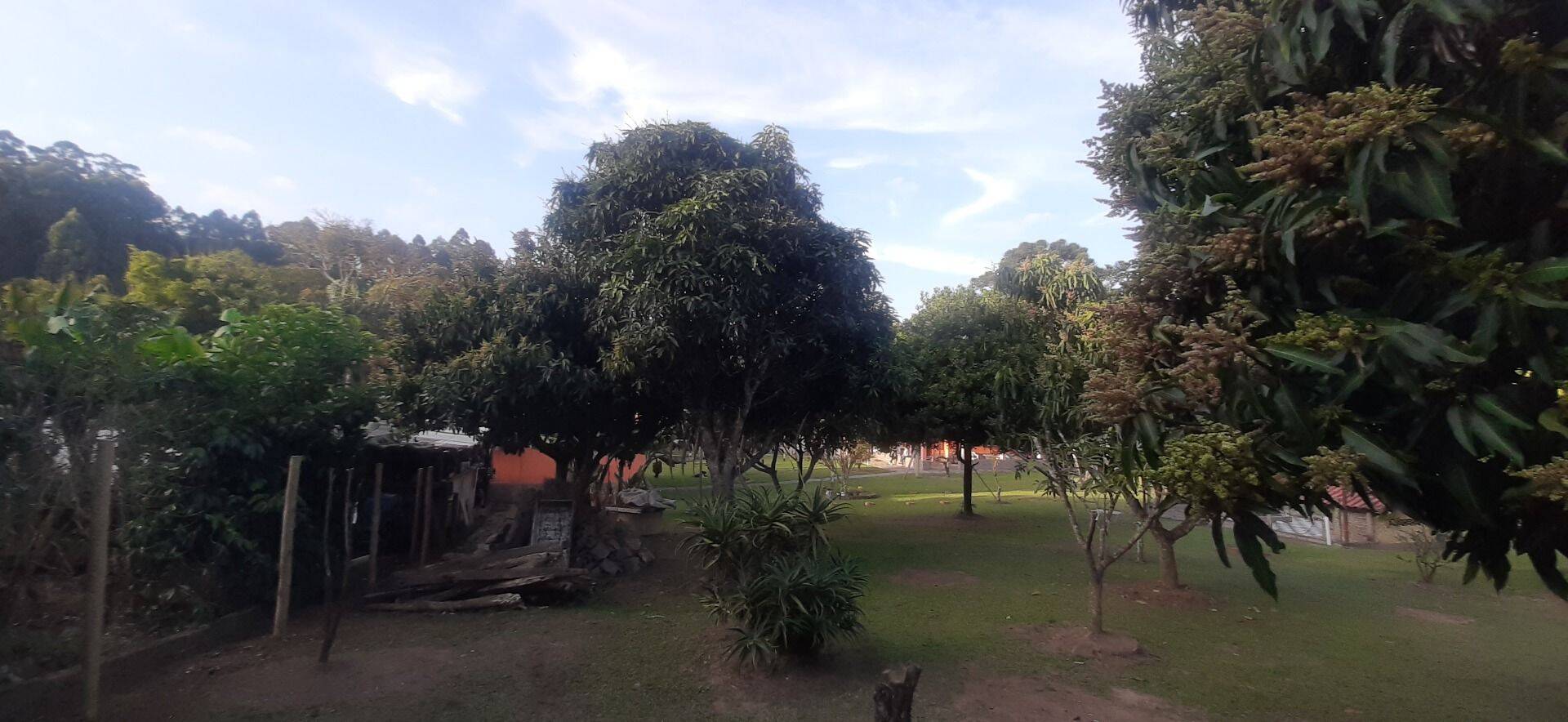 Chácara, 6 quartos, 8000 m² - Foto 80