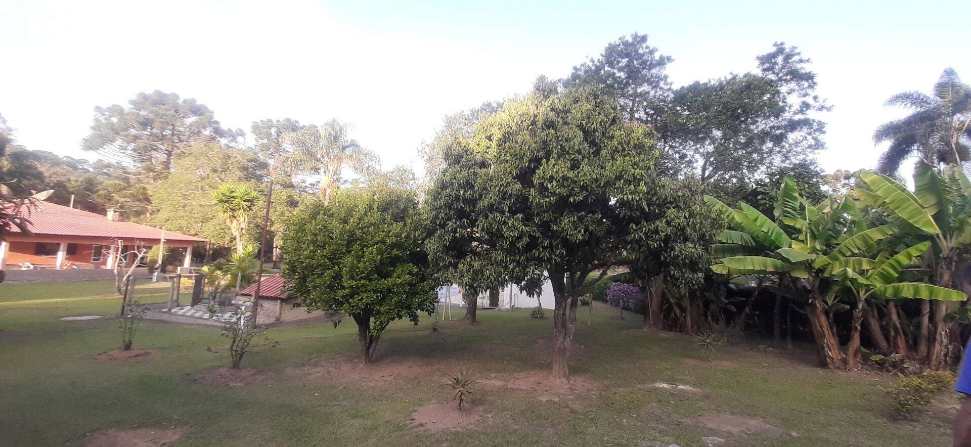 Chácara, 6 quartos, 8000 m² - Foto 82
