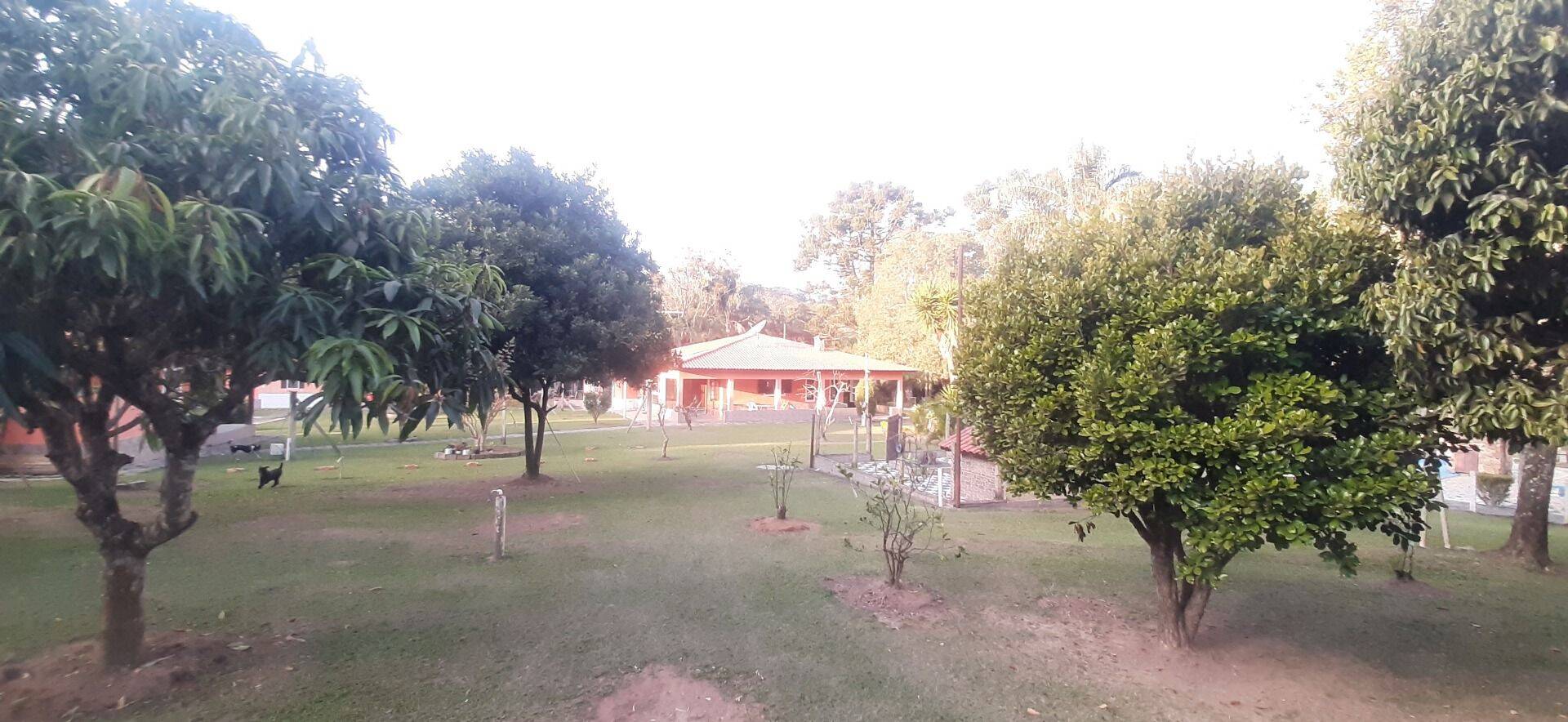 Chácara, 6 quartos, 8000 m² - Foto 83