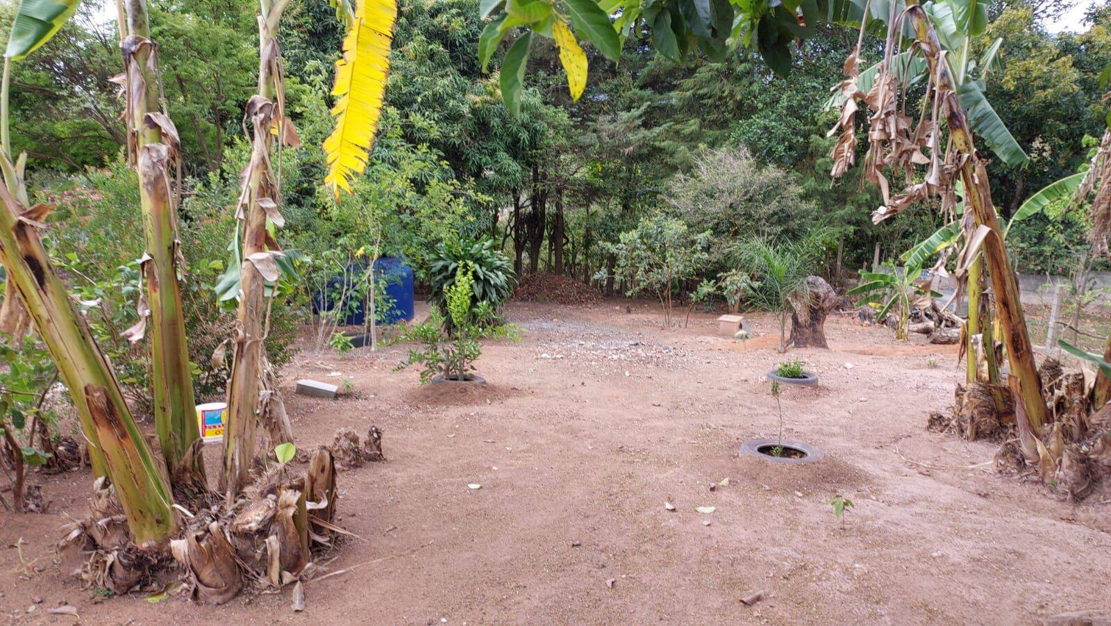 Chácara, 4 quartos, 1020 m² - Foto 53