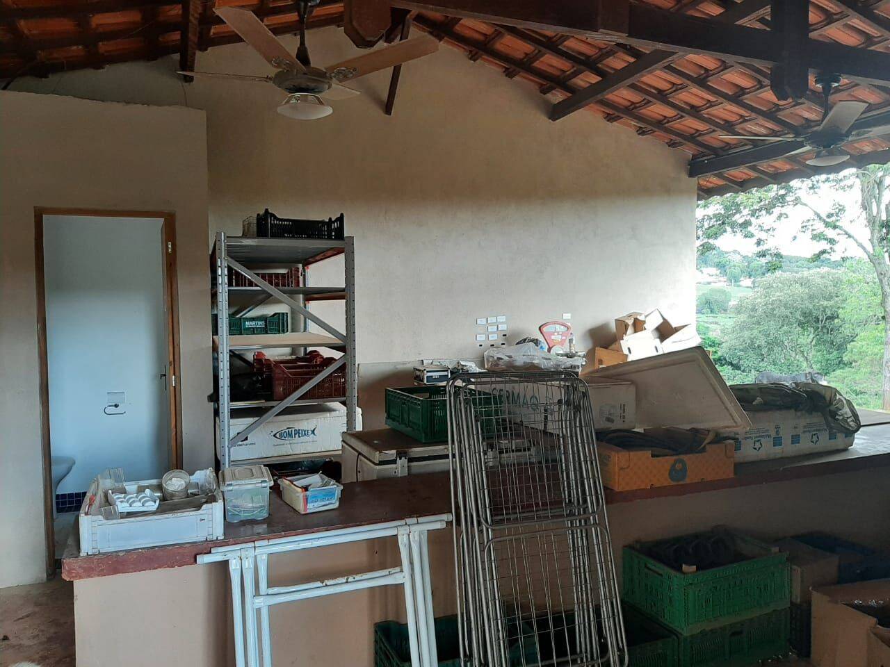 Sítio, 6 quartos, 2 hectares - Foto 100