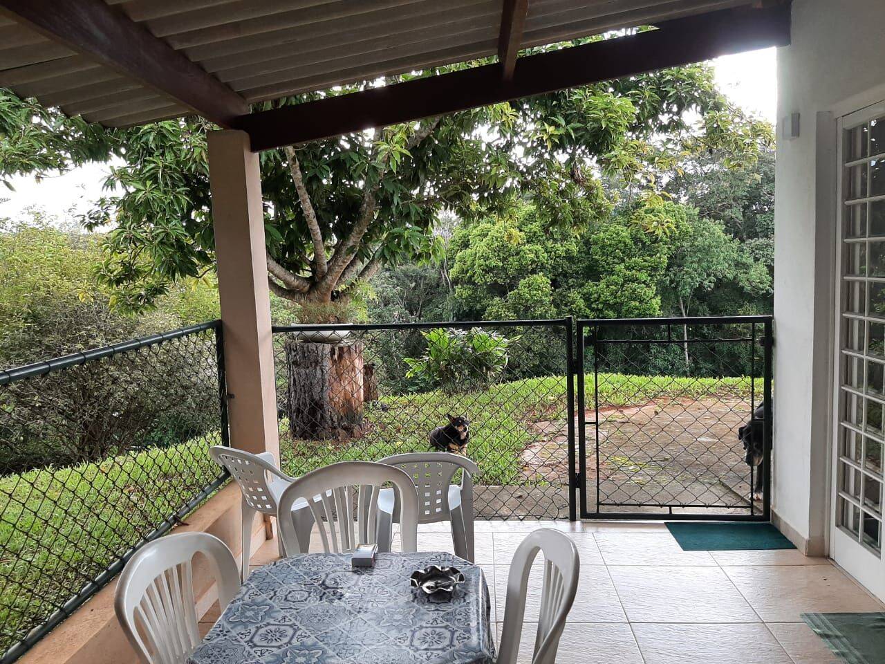 Sítio, 6 quartos, 2 hectares - Foto 120