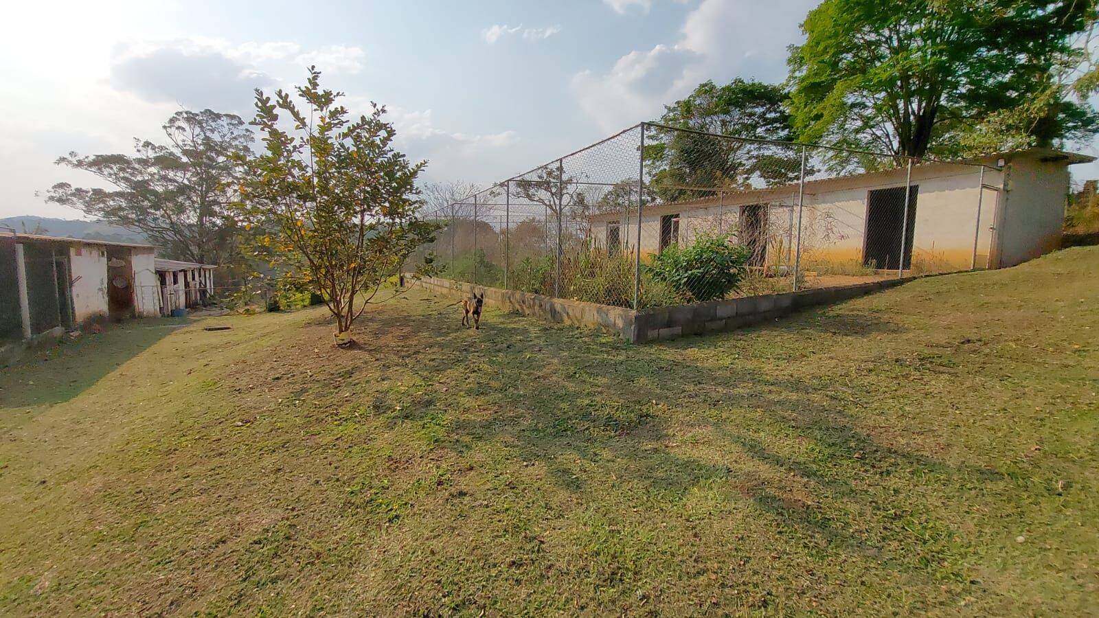 Sítio, 6 quartos, 2 hectares - Foto 132