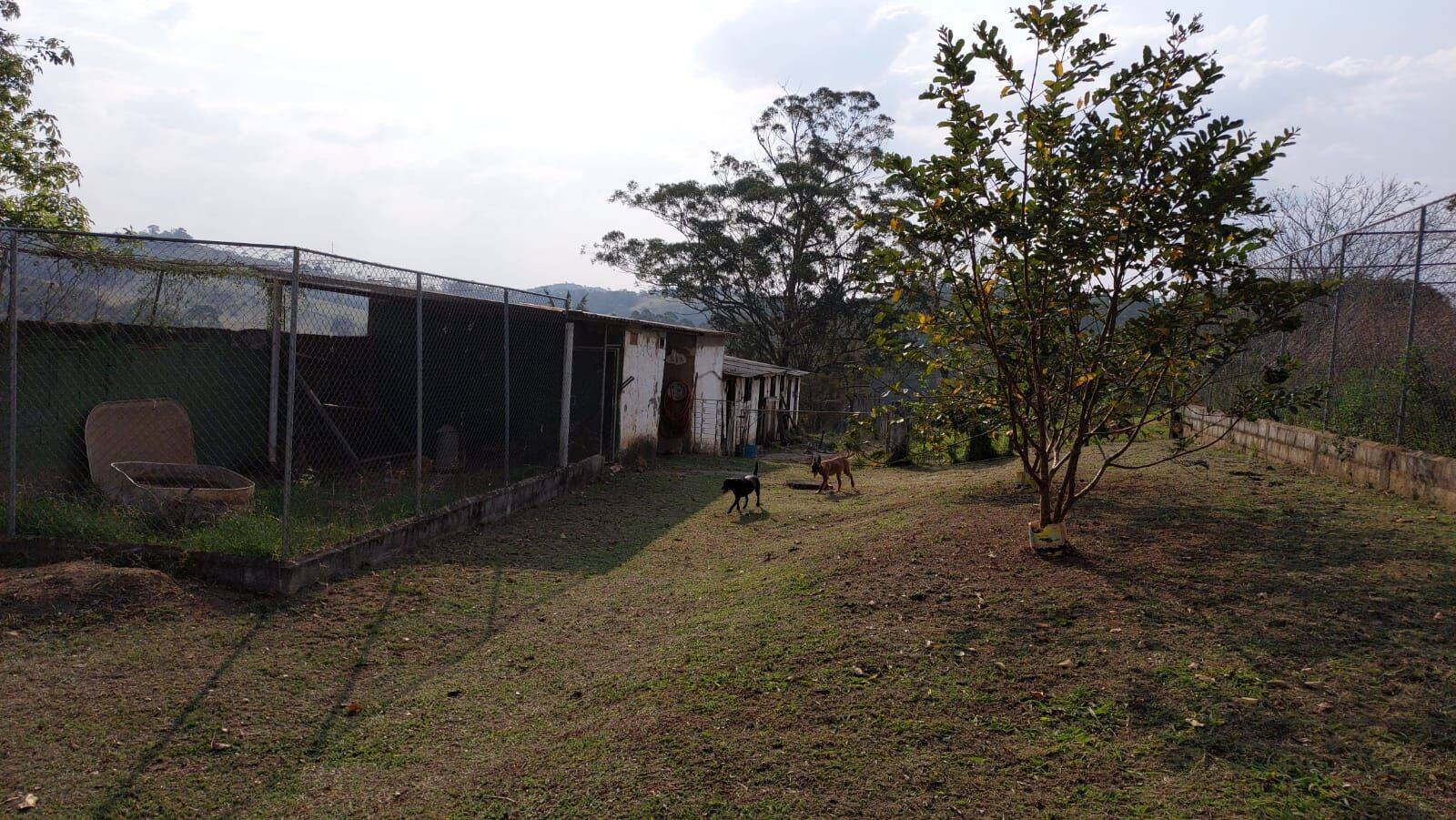 Sítio, 6 quartos, 2 hectares - Foto 133