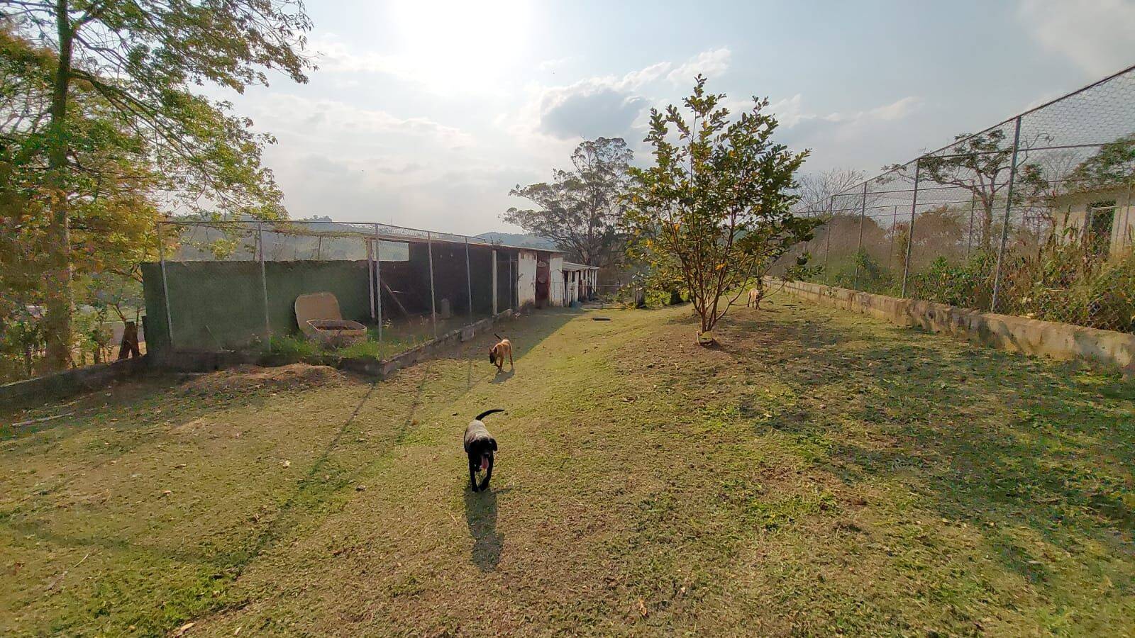 Sítio, 6 quartos, 2 hectares - Foto 134