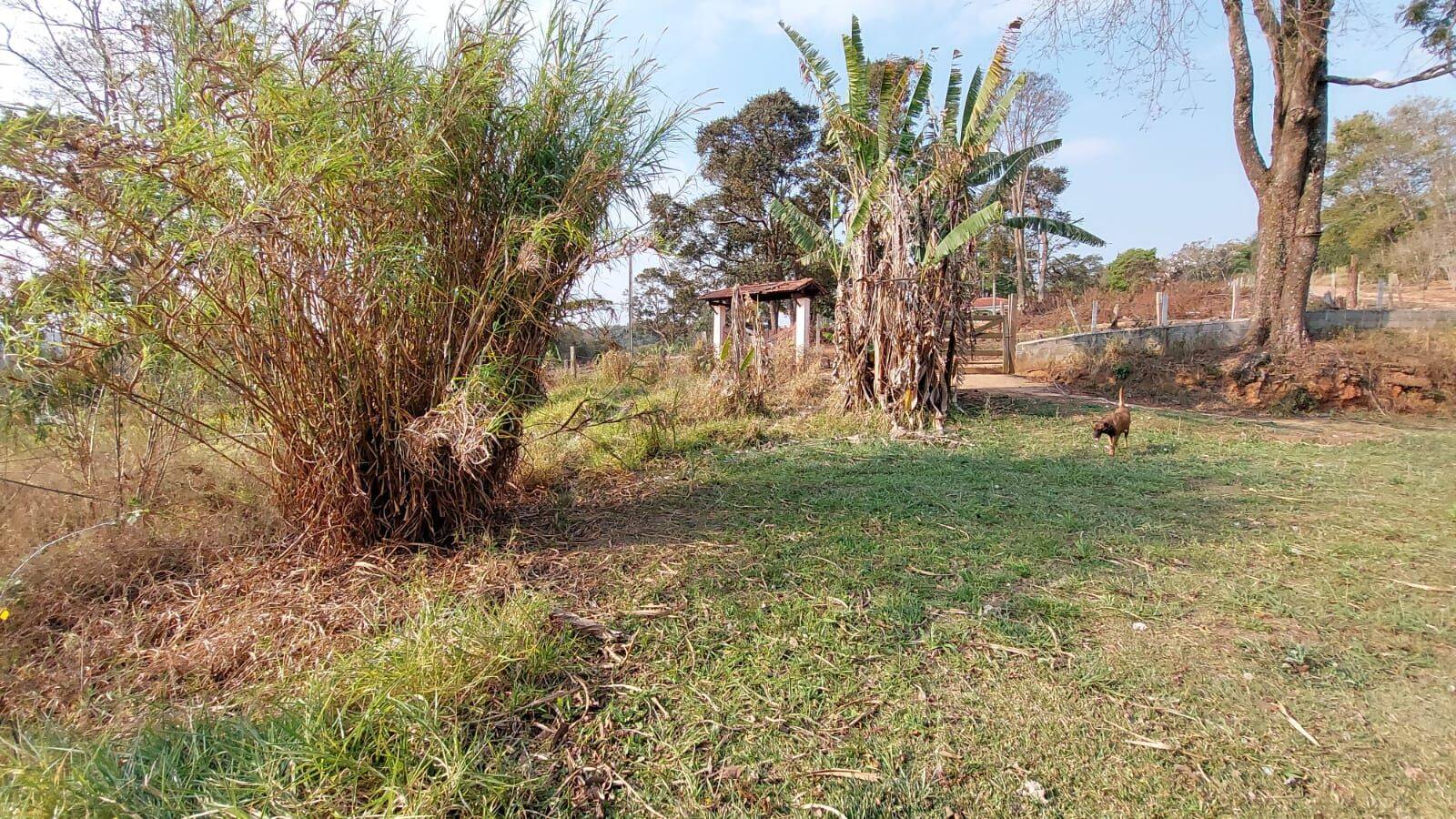 Sítio, 6 quartos, 2 hectares - Foto 136