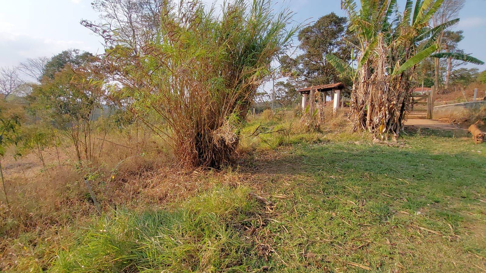 Sítio, 6 quartos, 2 hectares - Foto 137